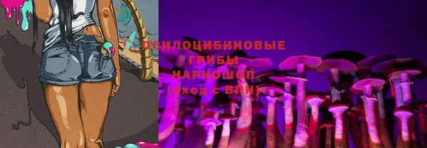таблы Новокубанск
